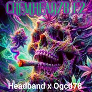 Chemhead78 F2