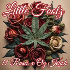 Little Footz