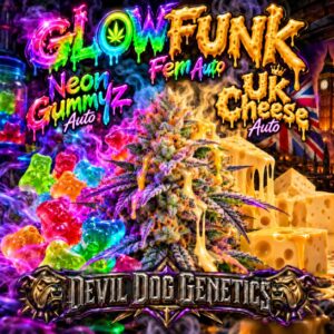 Glowfunk Auto